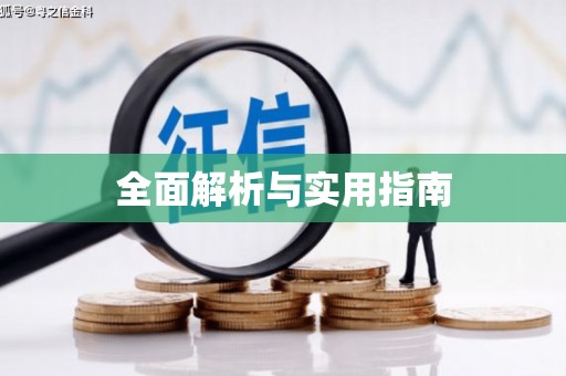 寻甸全面解析与实用指南