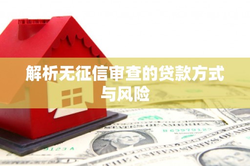 寻甸解析无征信审查的贷款方式与风险