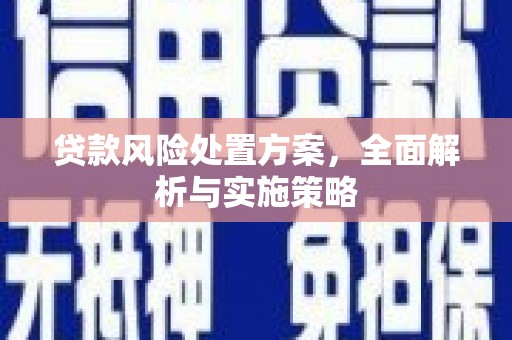 寻甸贷款风险处置方案，全面解析与实施策略