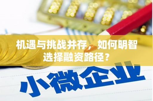 寻甸机遇与挑战并存，如何明智选择融资路径？