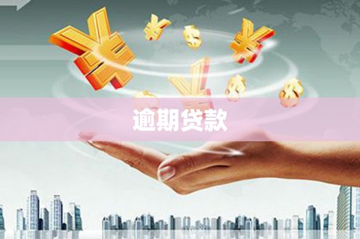 寻甸逾期贷款