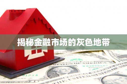寻甸揭秘金融市场的灰色地带
