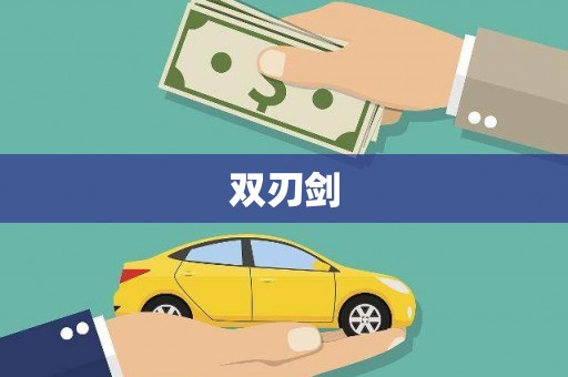 寻甸双刃剑