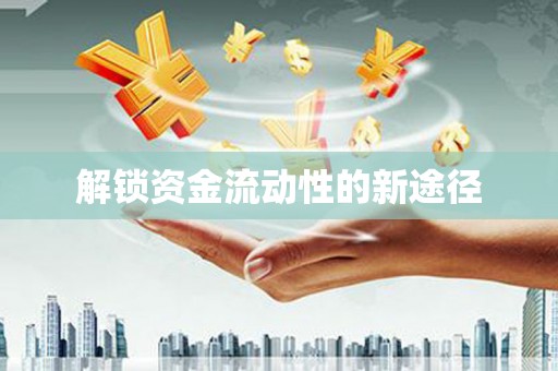 寻甸解锁资金流动性的新途径