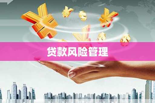 寻甸贷款风险管理