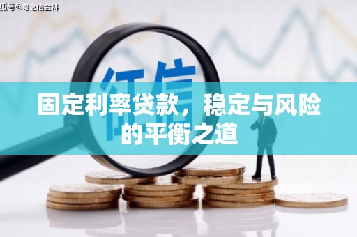 寻甸固定利率贷款，稳定与风险的平衡之道